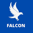 Falcon Multi Services