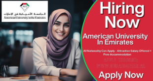 American University Careers In UAE, American University In The Emirates Jobs