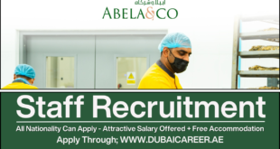 Abela and Co Vacancies In Dubai, Abela And Co Careers, Abela And Co Jobs
