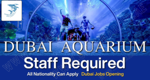 Dubai Aquarium Careers , Dubai Aquarium Jobs