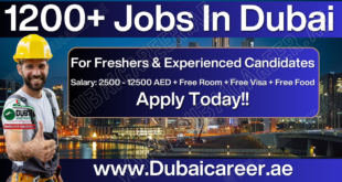 Jobs In Dubai For Freshers